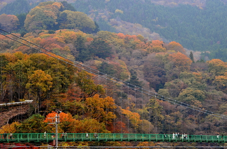 111114shiobara_05吊橋紅葉3.jpg