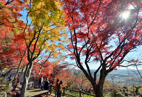 121127ohirasan-01.jpg太平山.jpg