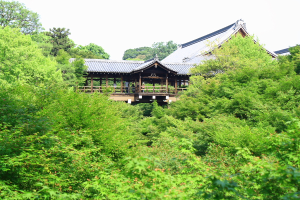 e0164741_23293355.jpg東福寺.jpg