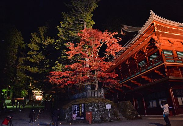 131102lightupnikko-04_R.jpg日光社寺.jpg