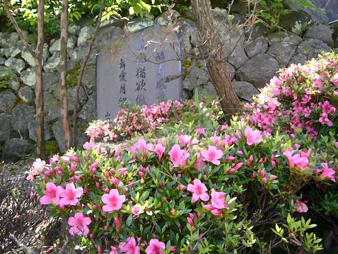 P1040495satuki2.jpg