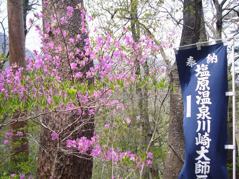 P1040244つつじ.jpg