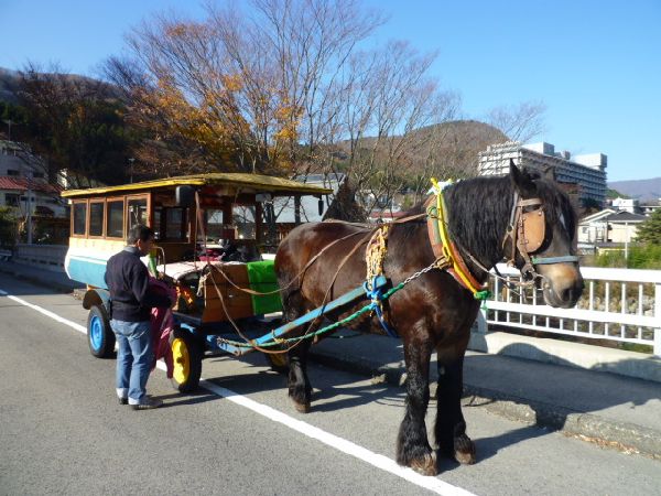 P1020648トテ馬車じゃらん.jpg