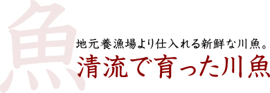 地元養漁場より仕入れる新鮮な川魚。　清流で育った川魚。