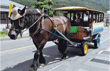 トテ馬車