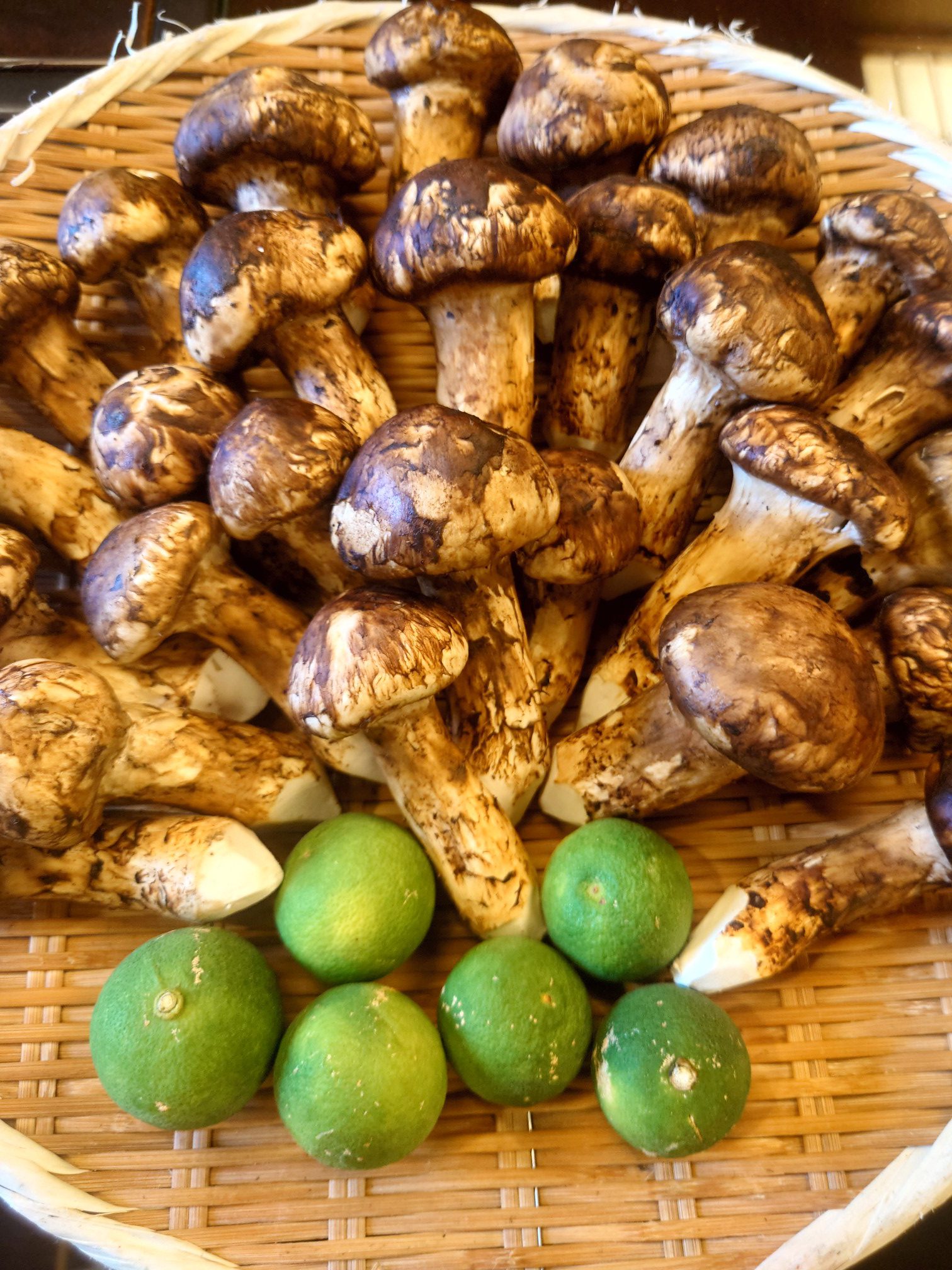 秋の味覚　松茸